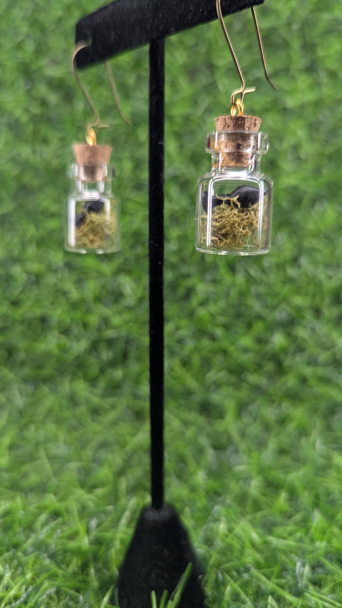 Specimen Plug Earrings